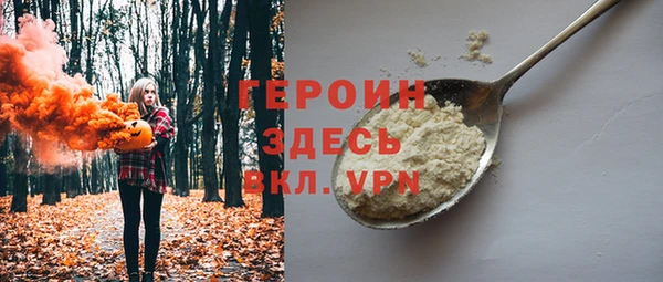индика Карпинск