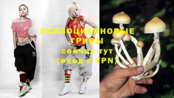 ECSTASY Абинск